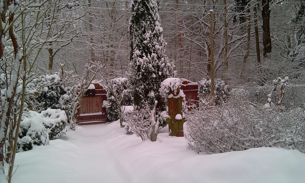 Villa Norwegisches Holzhaus Neuruppin Esterno foto